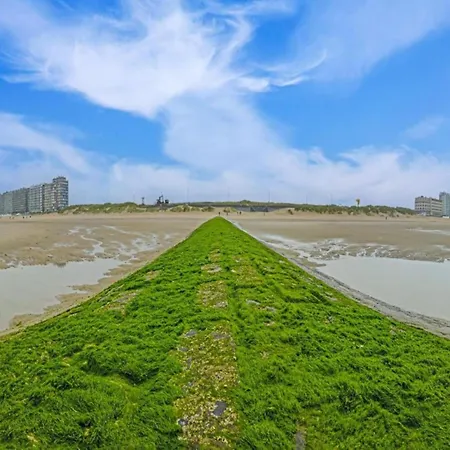 In With Stunning Views