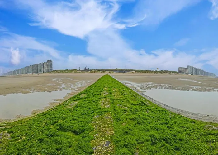 In With Stunning Views